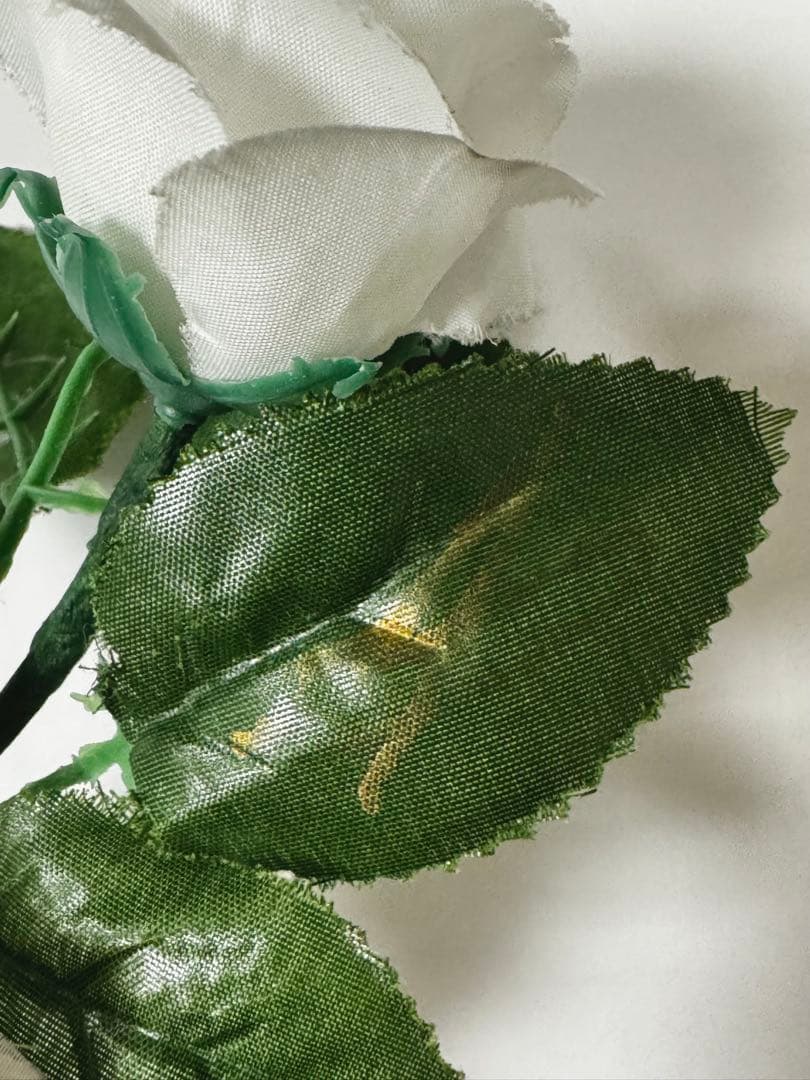 Versailles ローズライト メンバー5人サイン入り