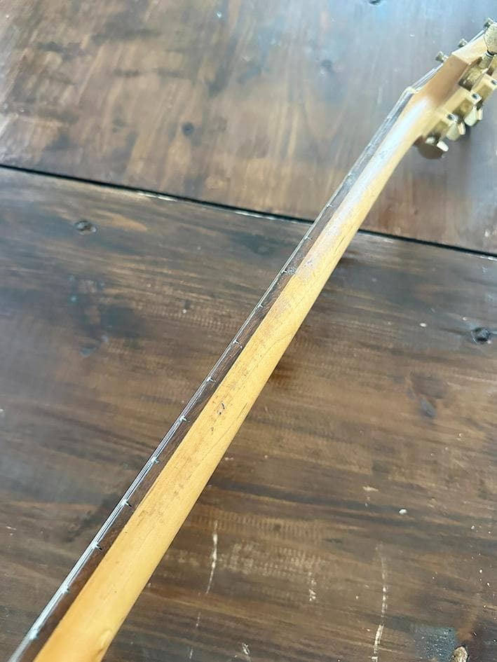 TARGET by FERNANDES MGT モッキンバード エレキギター