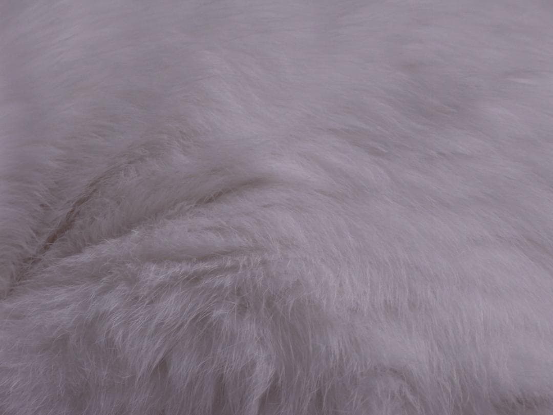 【年末セール】リコー RICOH R10 オールドコンデジ【美品・動作確認済】