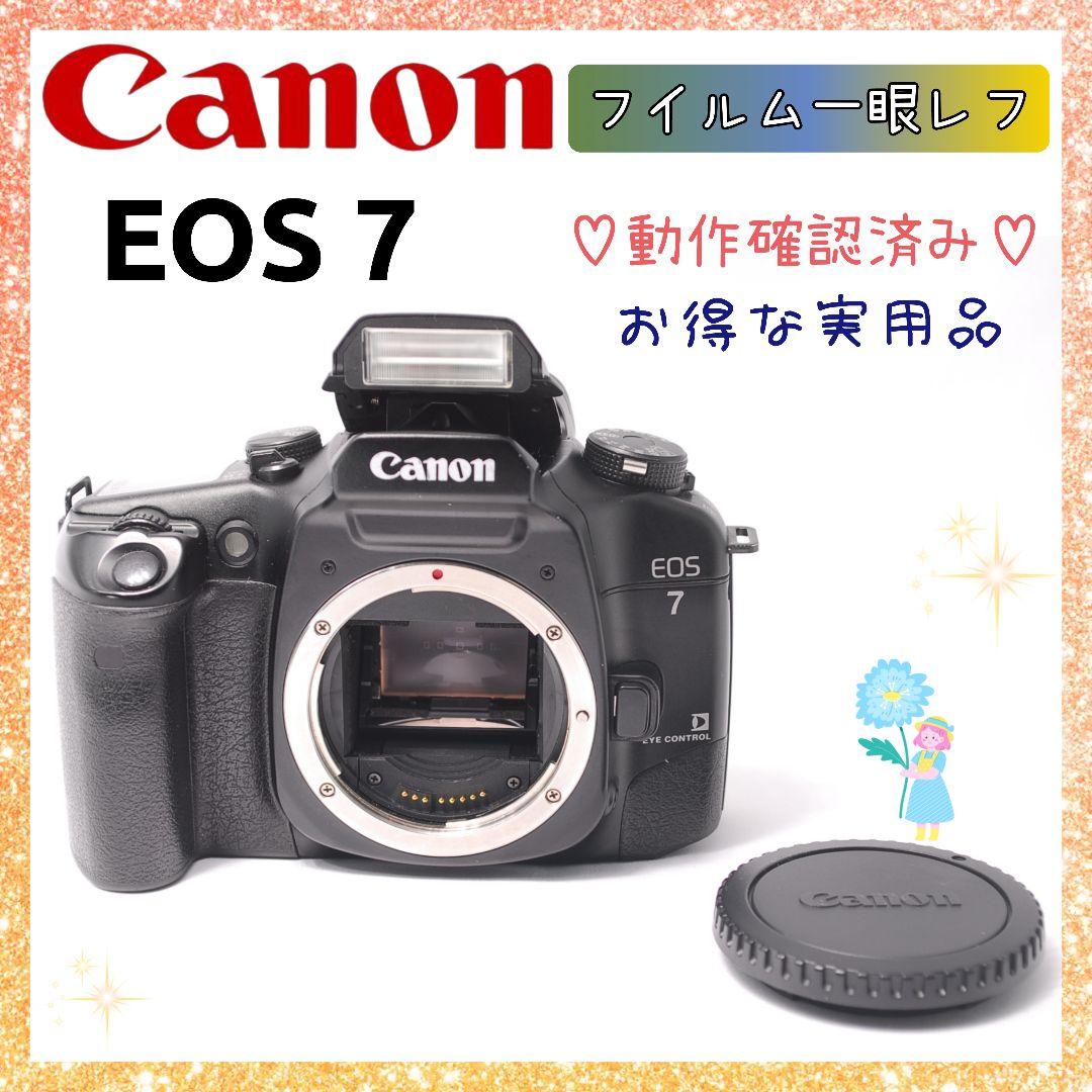 ⭐動作確認済み⭐【実用品】 キャノン Canon EOS 7 フィルム一眼レフ