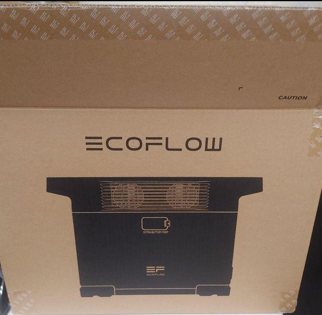 や*ま様 正規整備済品　EcoFlow DELTA 2 ポータブル電源