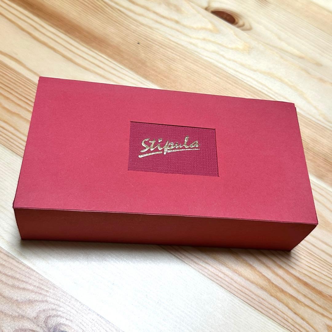 【未使用品】スティピュラ 万年筆 限定品 パッサポルト ブラックF（細字）