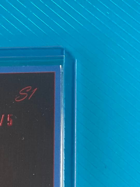 ハルク・ホーガン　直筆サインカード プロレス