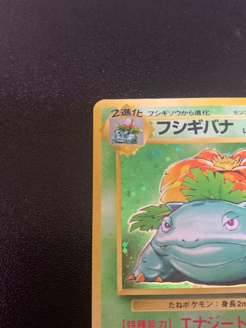 フシギバナ 初版　エラー版　マーク無し　Venusaur 旧裏　渦巻き