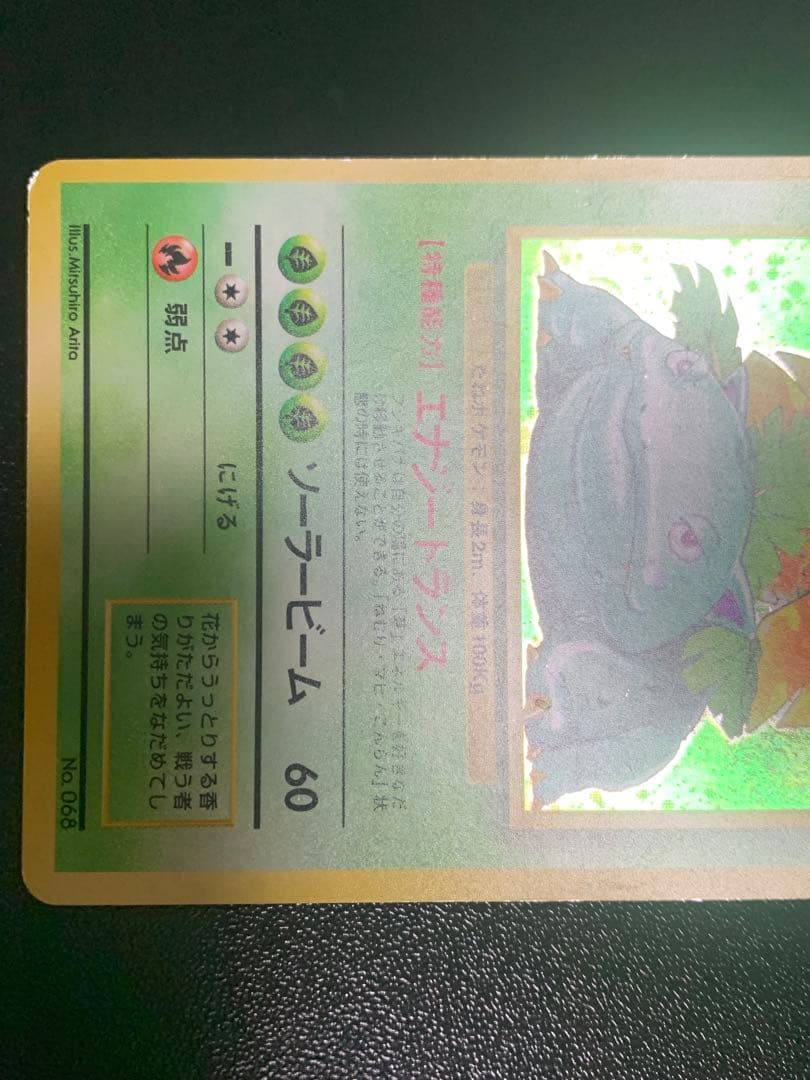 フシギバナ 初版　エラー版　マーク無し　Venusaur 旧裏　渦巻き