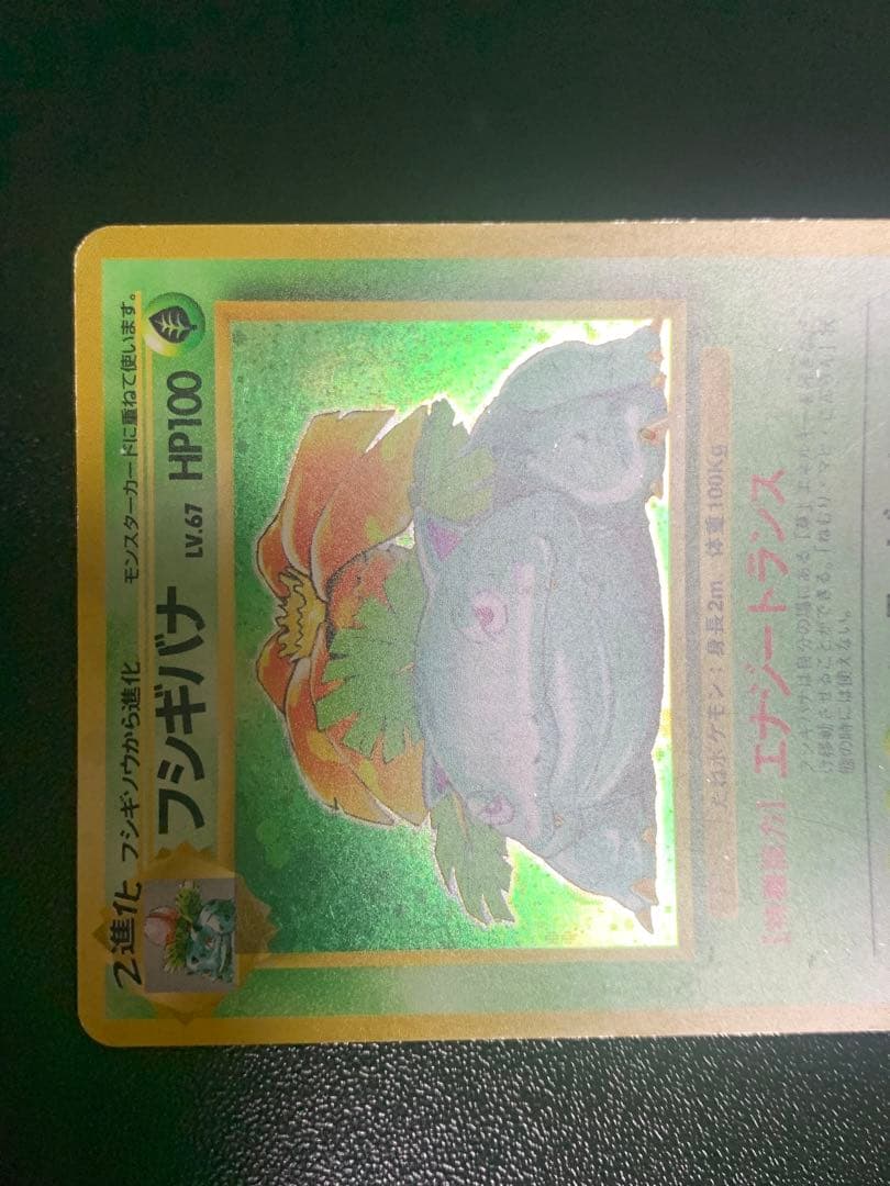 フシギバナ 初版　エラー版　マーク無し　Venusaur 旧裏　渦巻き