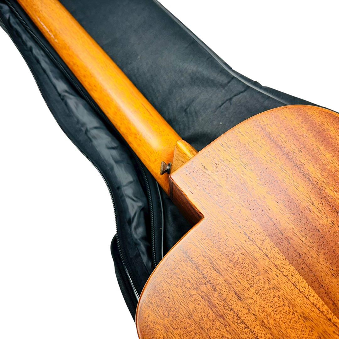 aNueNue aNN-M2 BirdGuitar ミニアコースティックギター