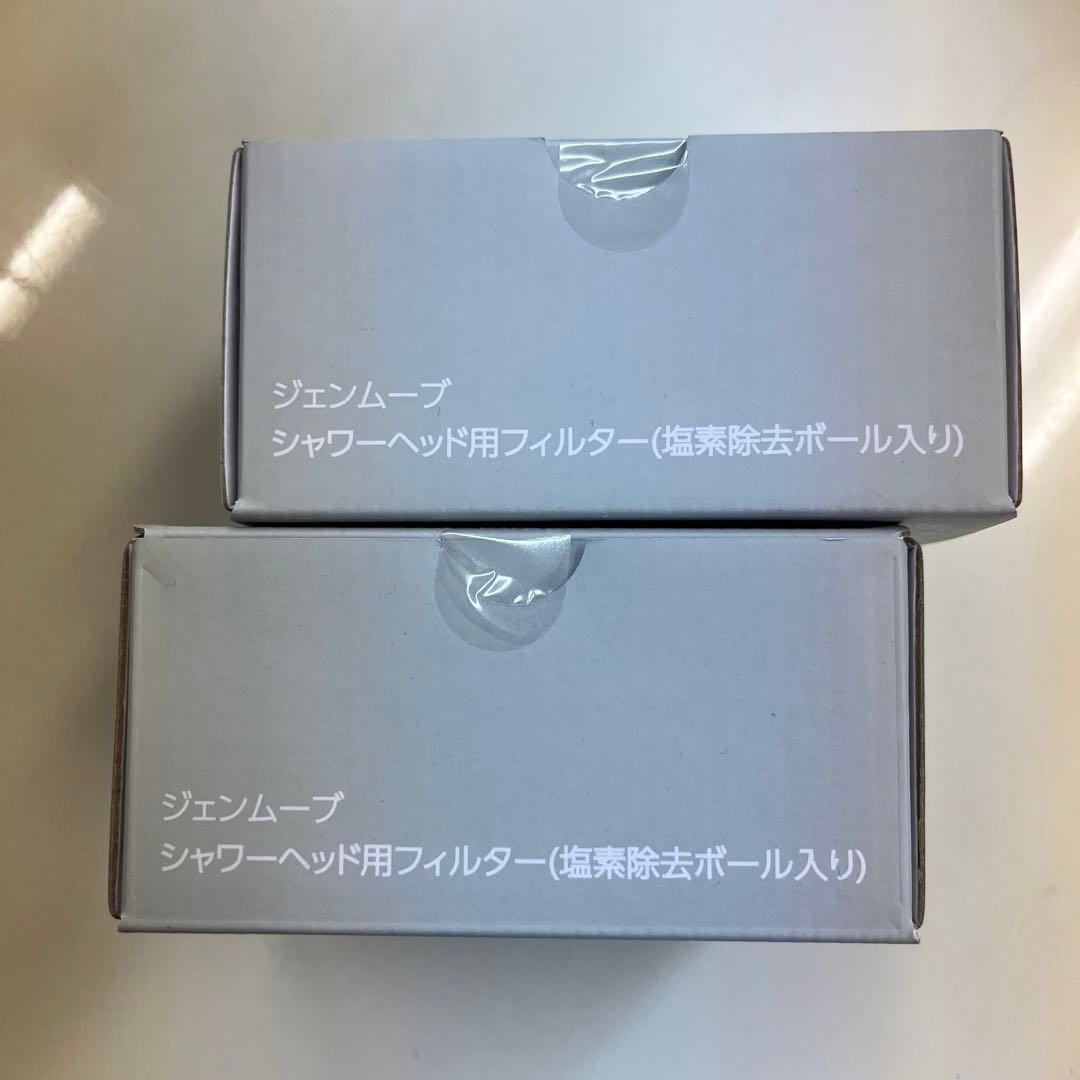 ジェンマジャパン GEMMOVE シャワーヘッド用フィルター 10本入り