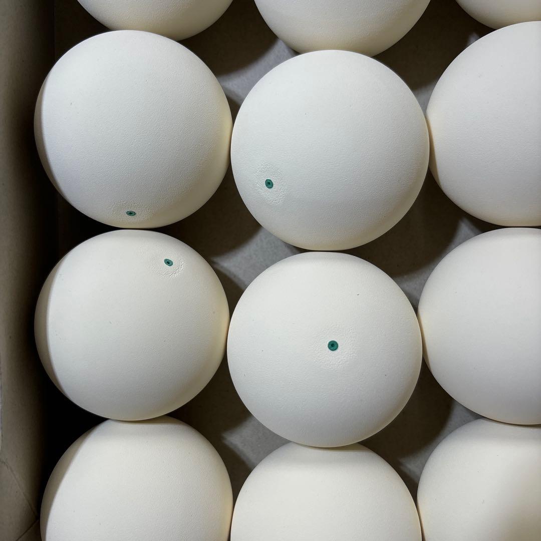 【早い者勝ち】ソフトテニス ボール 5ダース 60球