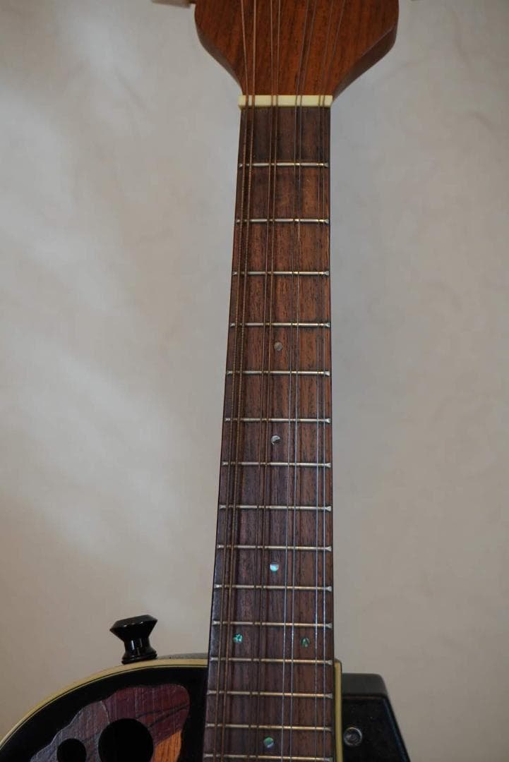 OVATION　Celebrity Mandolin MCS-148