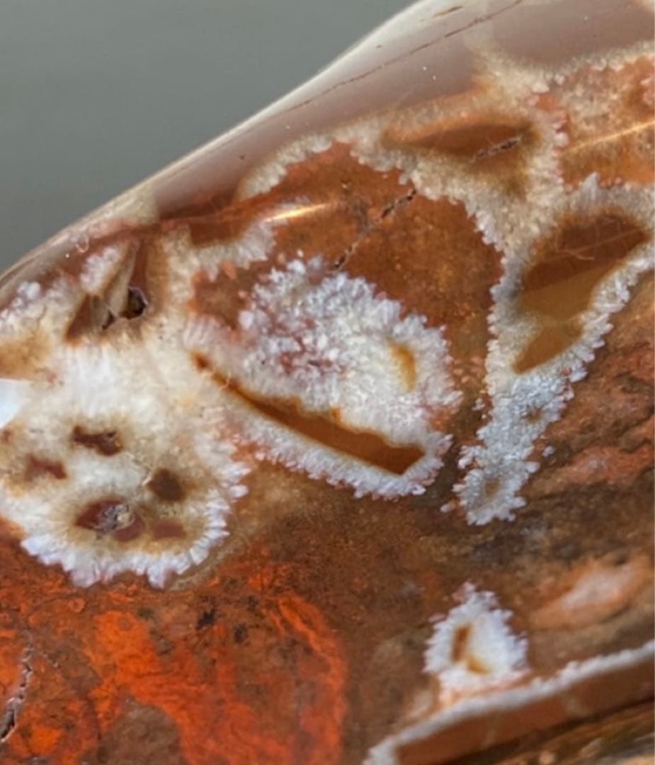 菊花石　★鑑賞石　美石　水石　盆栽