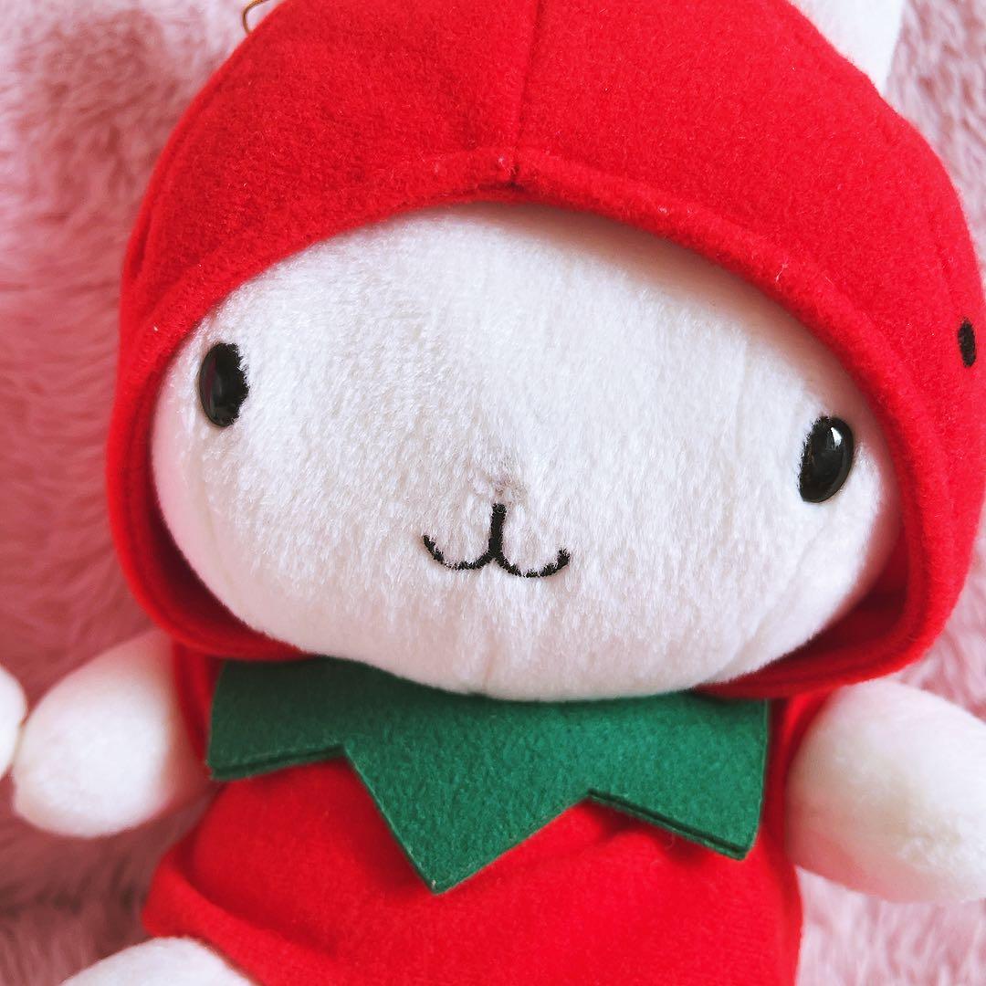 希少　平成レトロ　うさずきん　ぬいぐるみ 9体セット