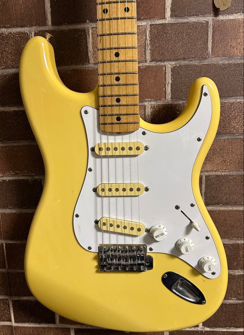 早い人勝ち　日本製　FERNANDES ザリバイバル