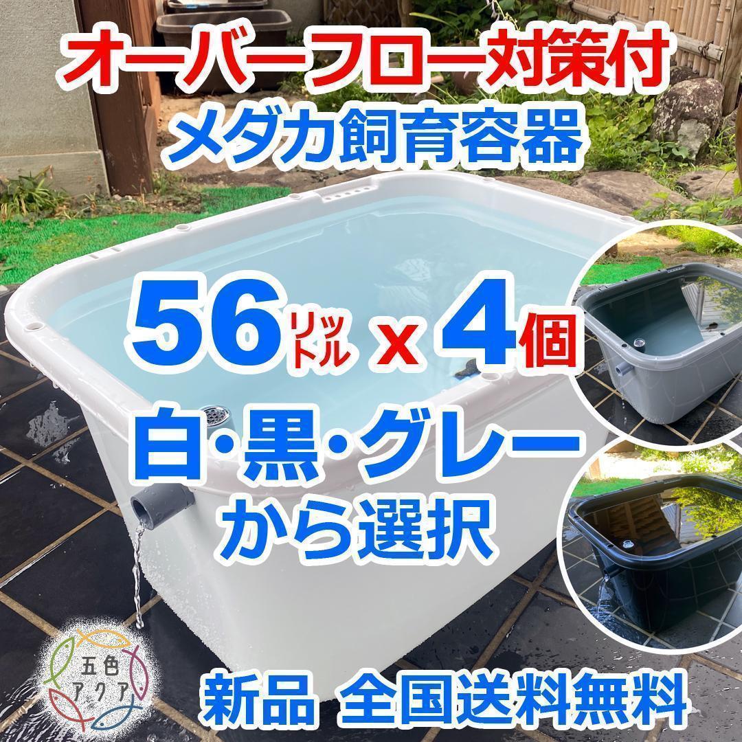 メダカ飼育ケース 56㍑x4個 白黒灰あり オーバーフロー加工済 金魚容器 越冬