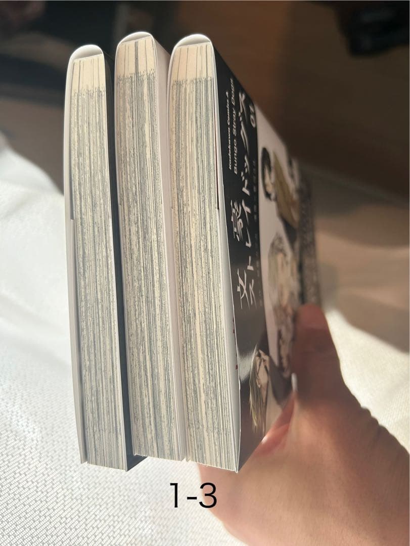 文豪ストレイドッグス 1-24巻 特製収納ボックス入り