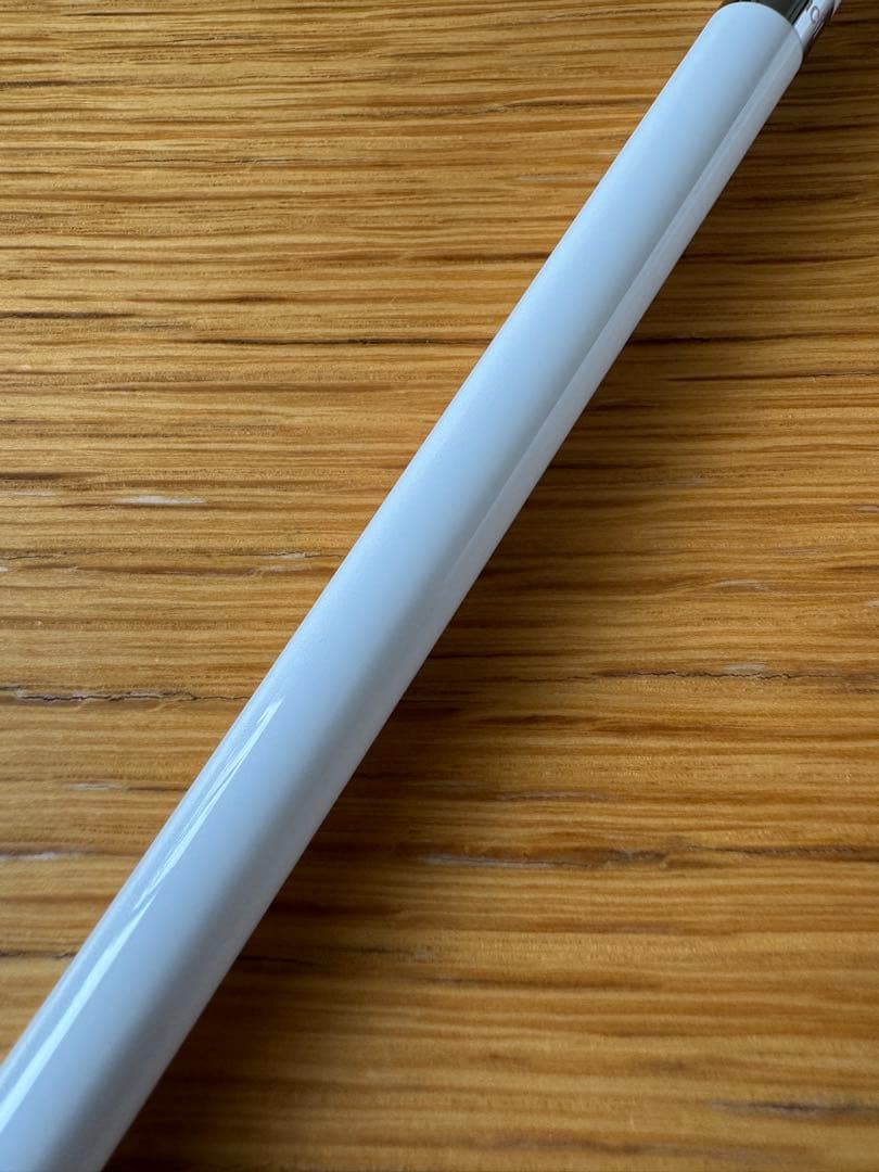 iPad mini5 256GB Apple Pencil付すぐ使えるフィルム付