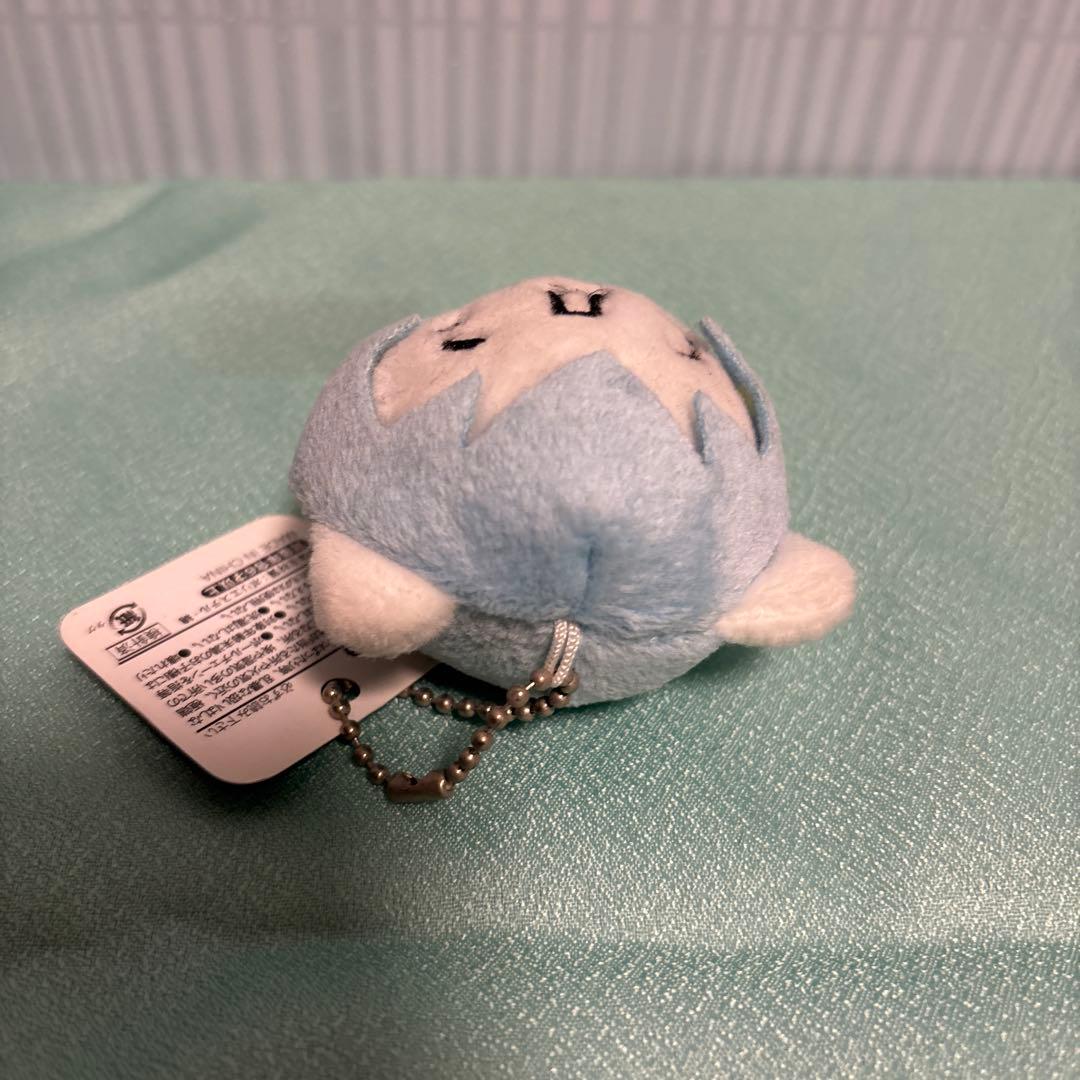 【かおもじネコ】新形態 マスコットBC エヴァンゲリオン 綾波レイ風ぬいぐるみ