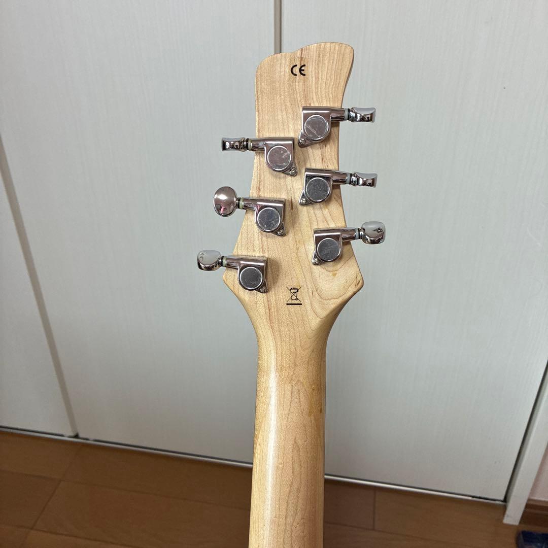 専用ハードケース付エレキギター