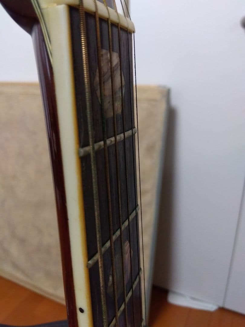 Morris W-80 アコースティックギター