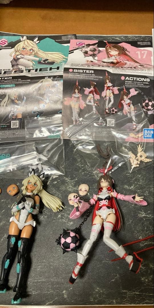 30MS セスティエ シュレミ 組み立て品