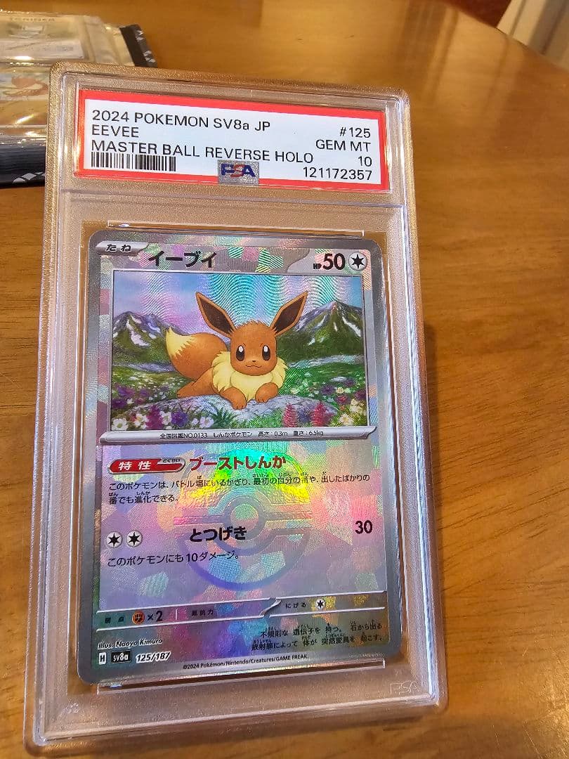 【引退品】ポケカファイル1冊