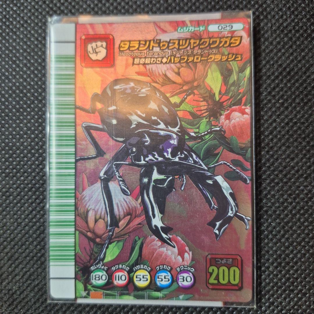 ムシキング　タランドゥス　5周年