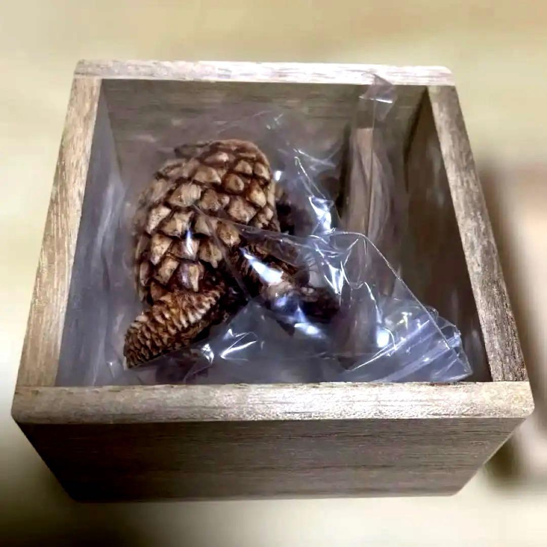 怪獣根付「ガメラ」