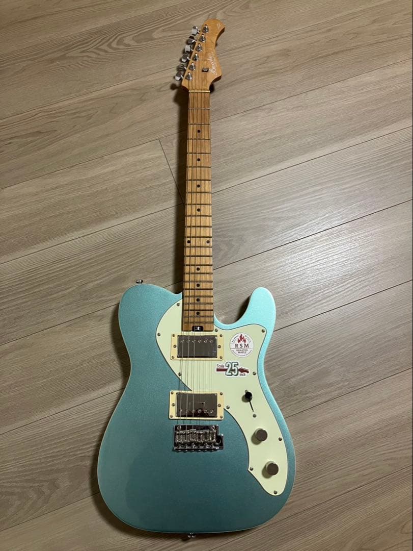 Bacchus Telecasterスタイル エレキギターセット