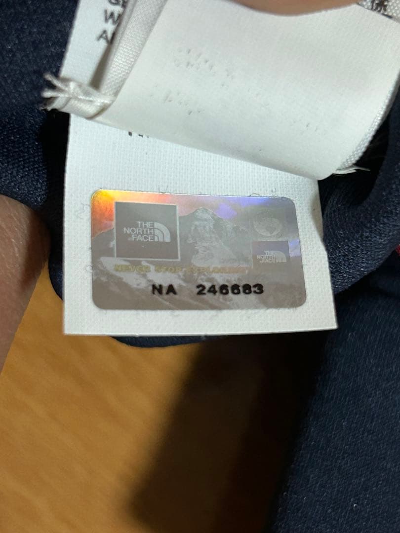 Supreme × NORTH FACE Bandana Etip Glove