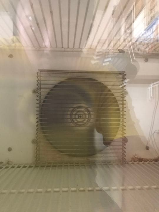 コカコーラ　販促　冷蔵庫　ビンテージ　ナショナル製　完動　良く冷える