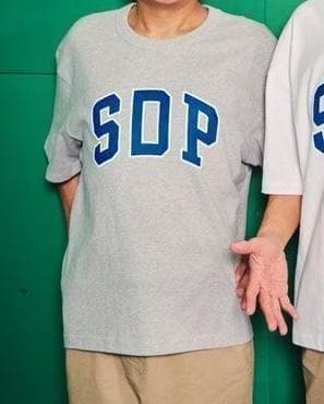 スチャダラパー チャンピオンカーニバル限定カラー　 GAP Tシャツ XL