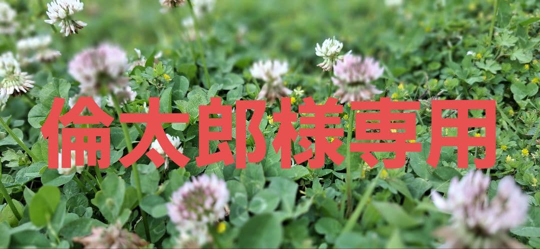 ☆新品☆ HITACHI ZAXIS890 ミニチュア重機