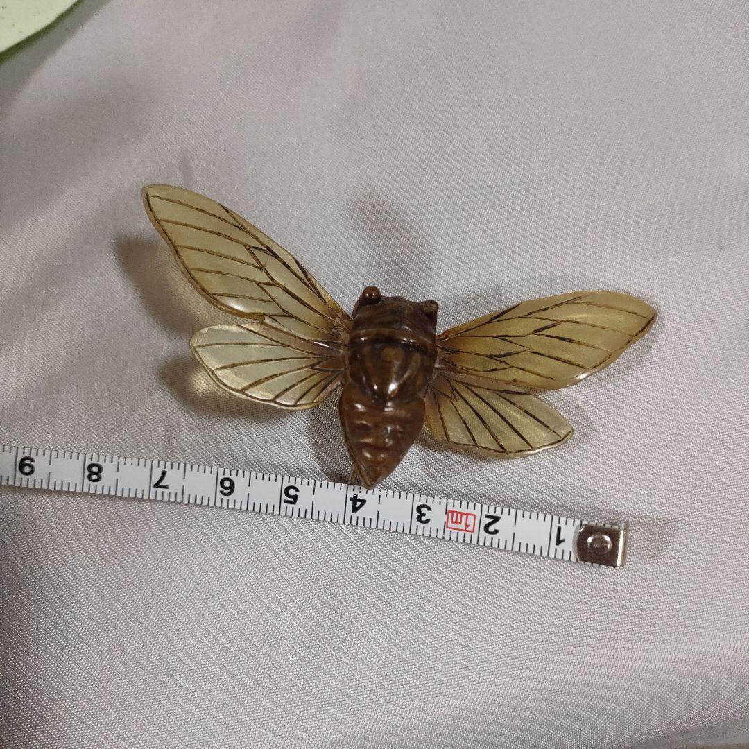 P5 超美品　OSTIA 　オスティア　せみ　イギリス　水牛の角　ブローチ