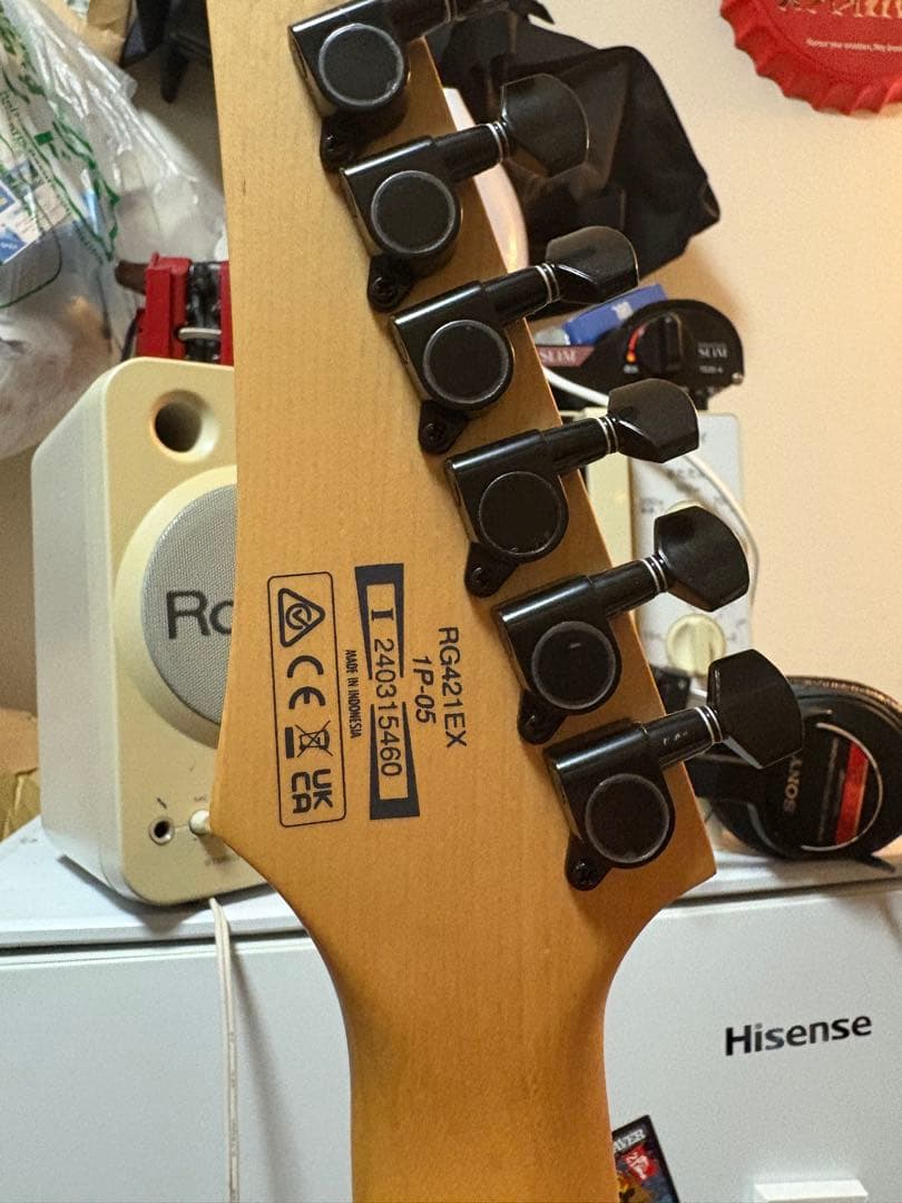 [美品]Ibanez rg421ex