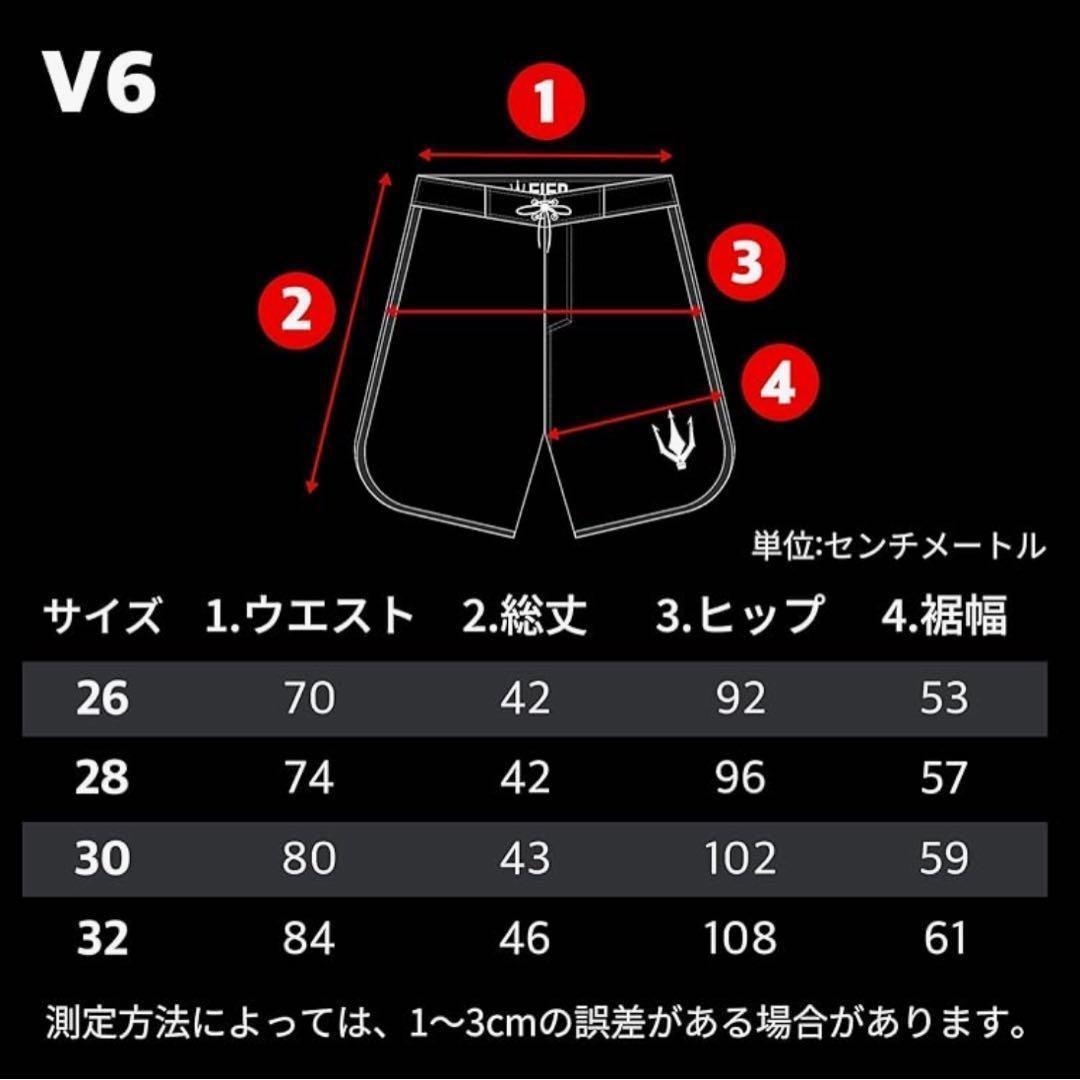 FIED ファイド　サーフパンツ　水着 サイズSホワイト ストライプ　フィジーク