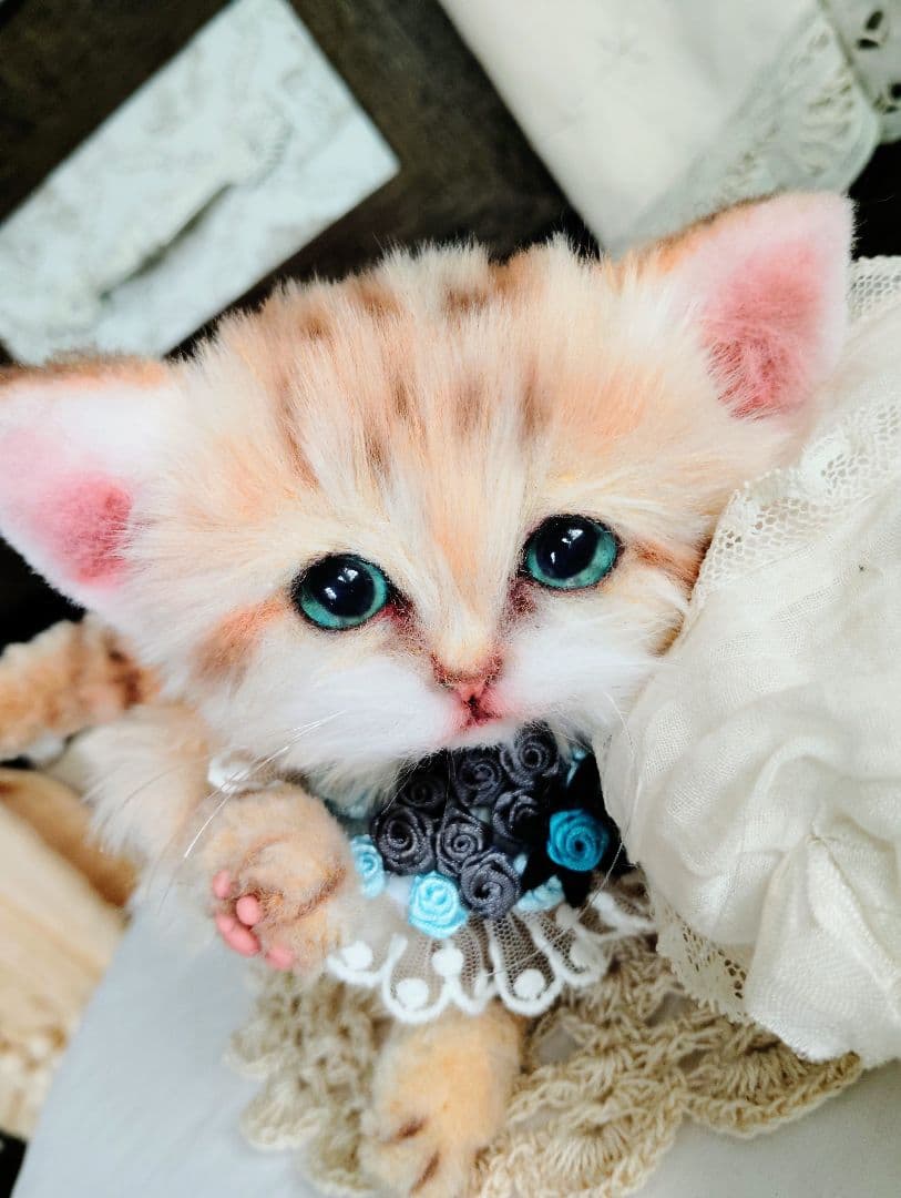 スナネコちゃん❤子猫♥まなあきちゃんご予約♥