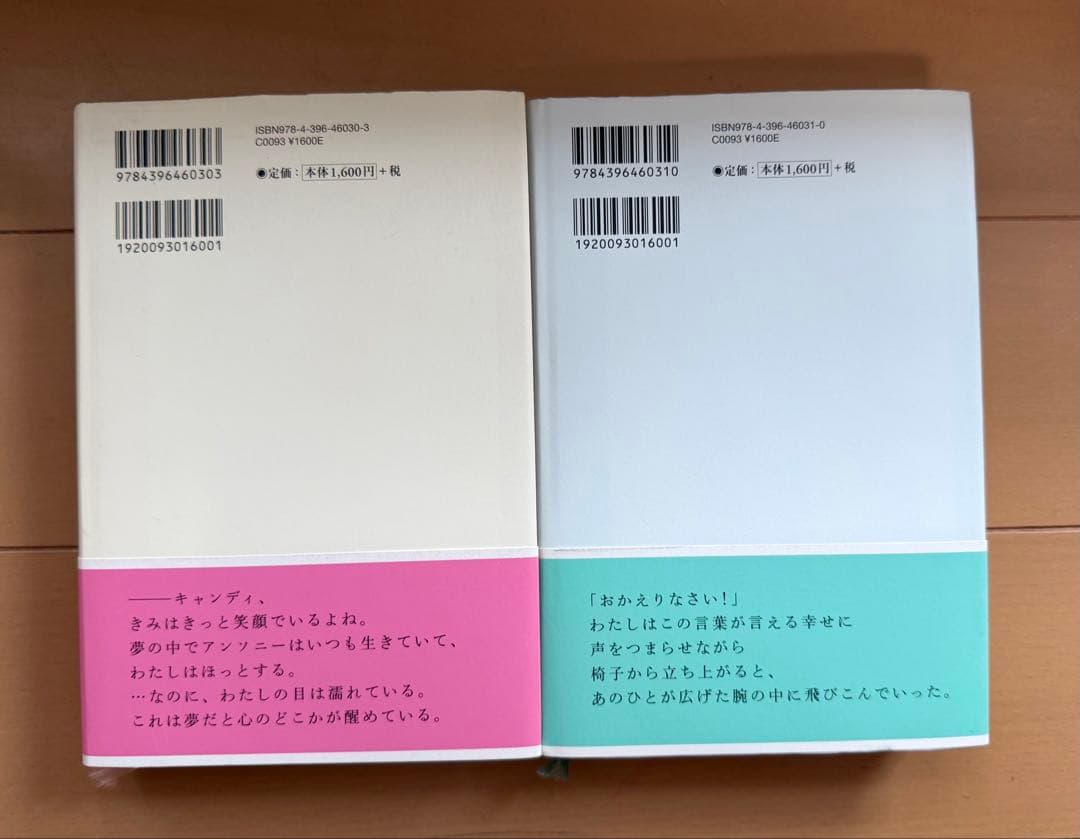 水木杏子（名木田恵子）／小説キャンディ♡キャンディFINALSTORY上下巻