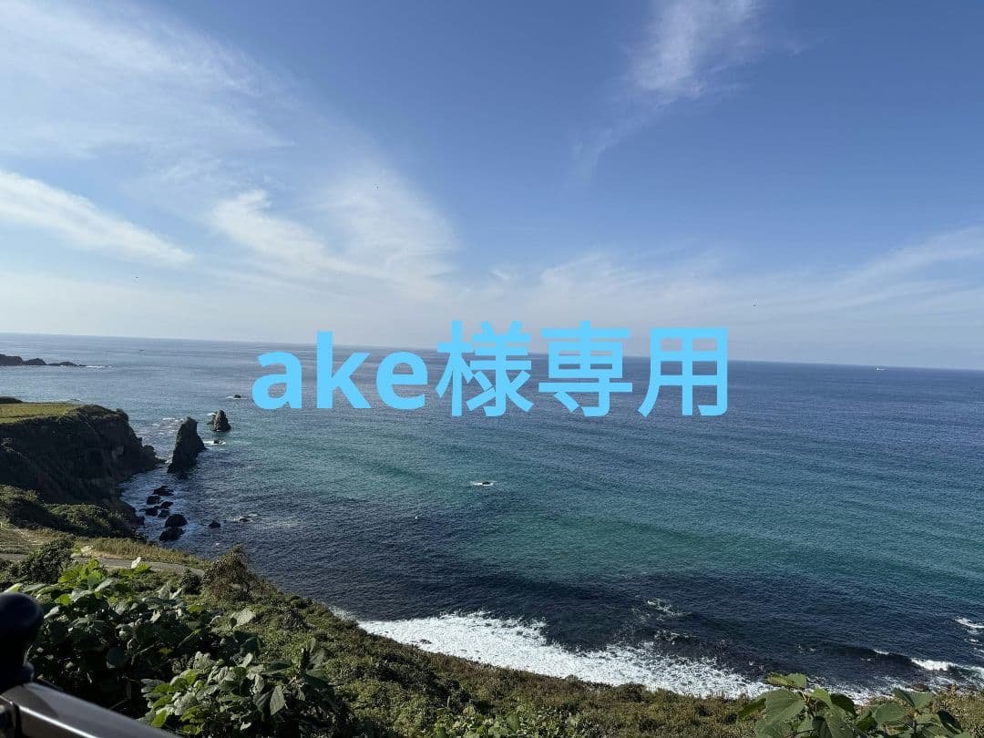 バッグ ake