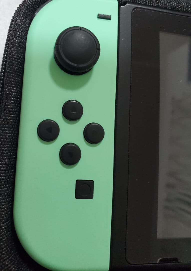 あつまれ どうぶつの森セット Nintendo Switch　ケース付き