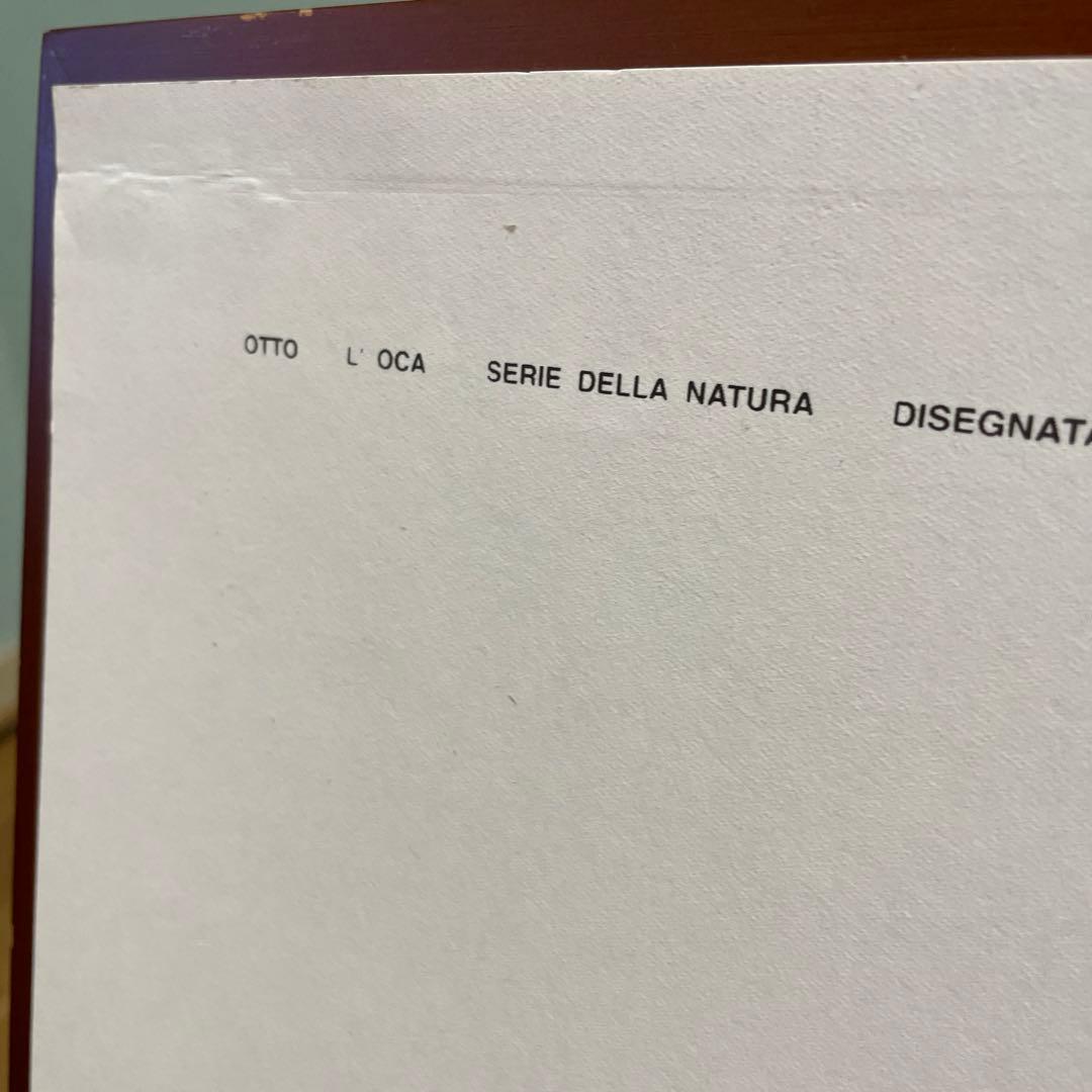 エンゾマリ2000年製作ポスター　DANESE ENZO MARI