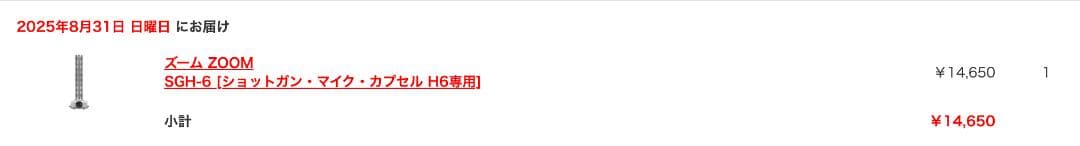 【新品未使用】 ZOOM SGH-6