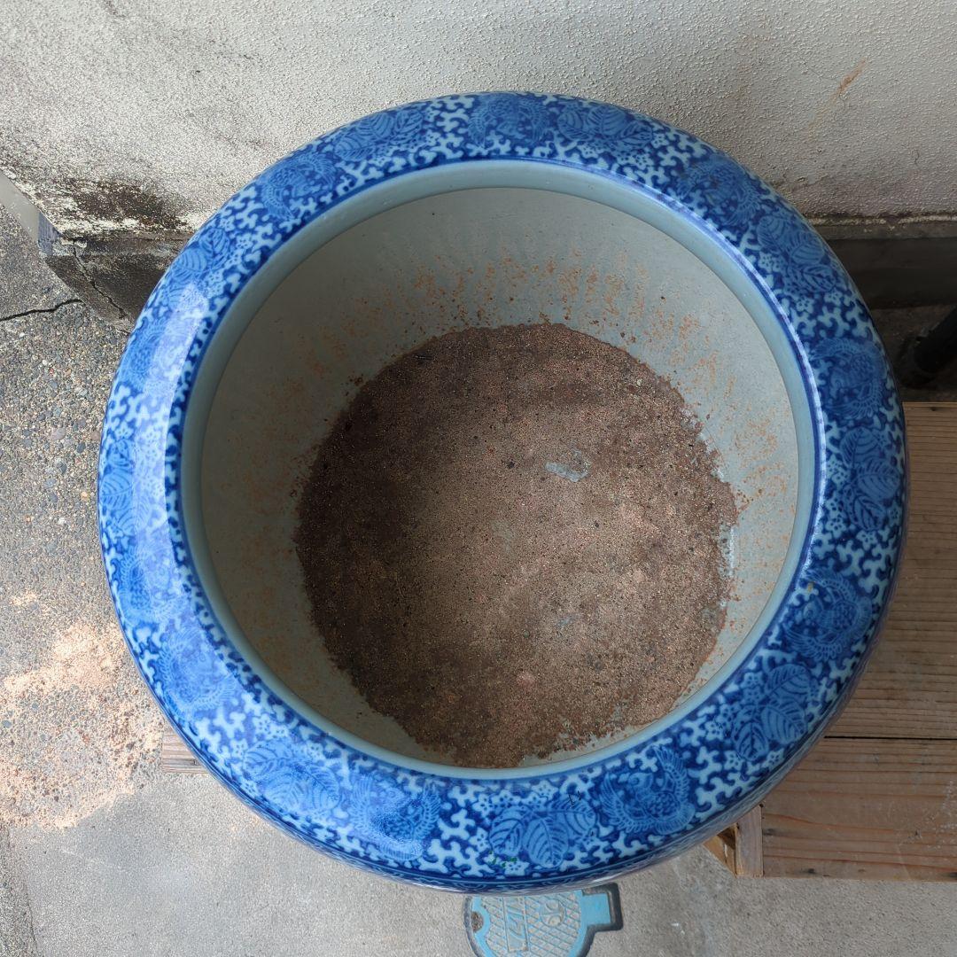 骨董 大型 火鉢 伊万里 染め付け メダカ 金魚 睡蓮鉢 小判 鍔 鉢カバー