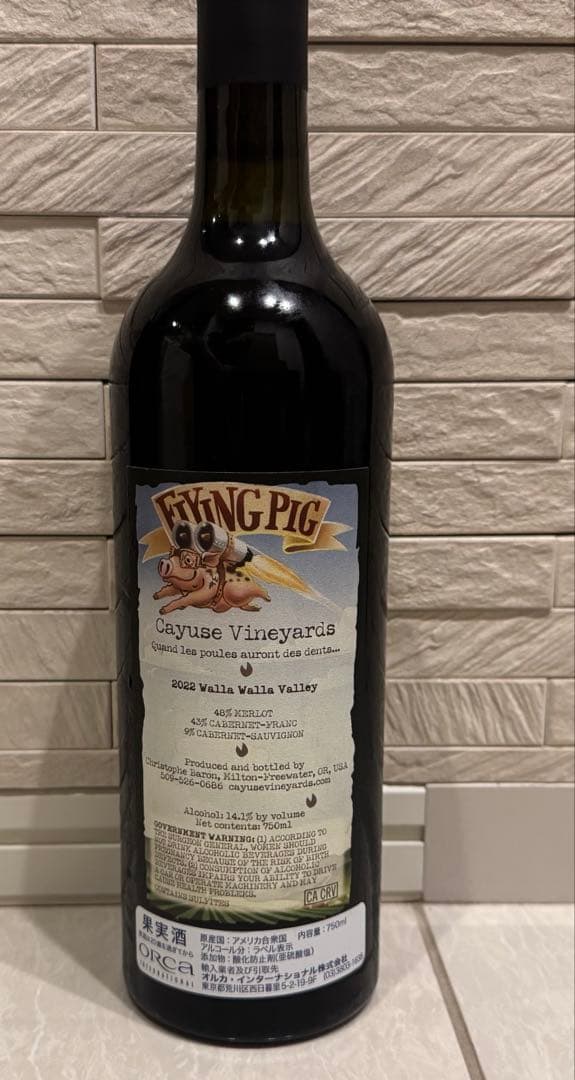 カユース フライング ピッグ2022