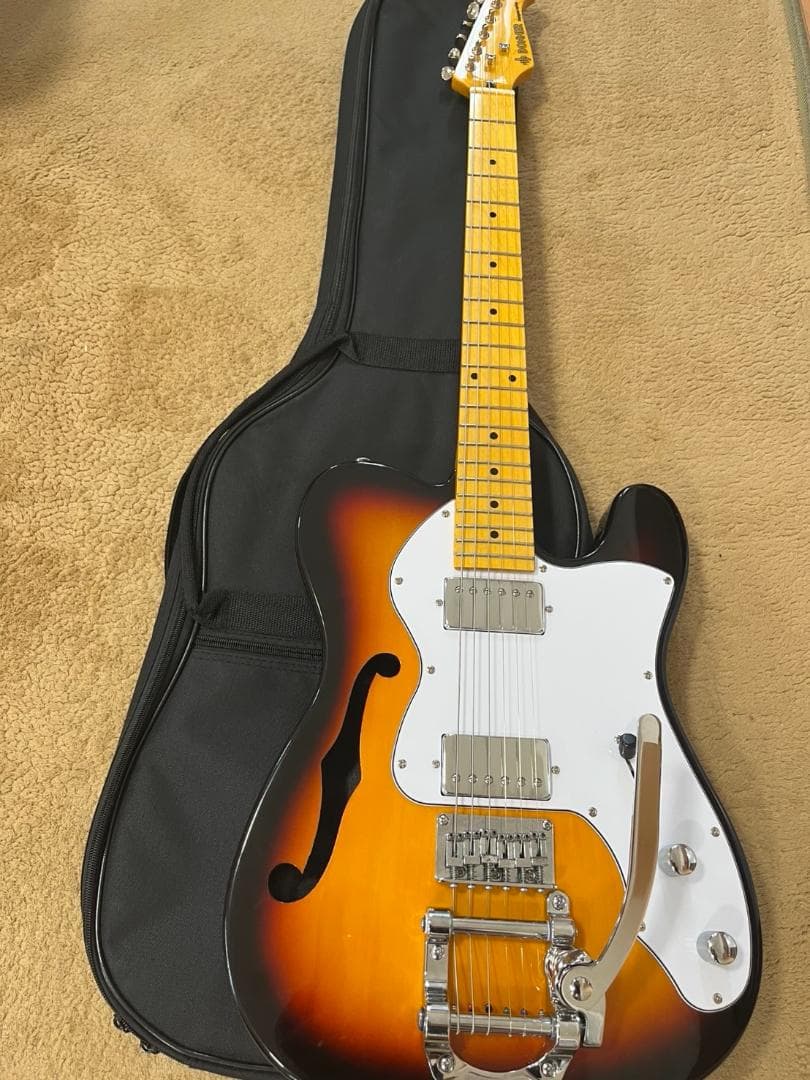 （ダイナマン）ドナー シンライン ホロウボディ bigsbyタイプ