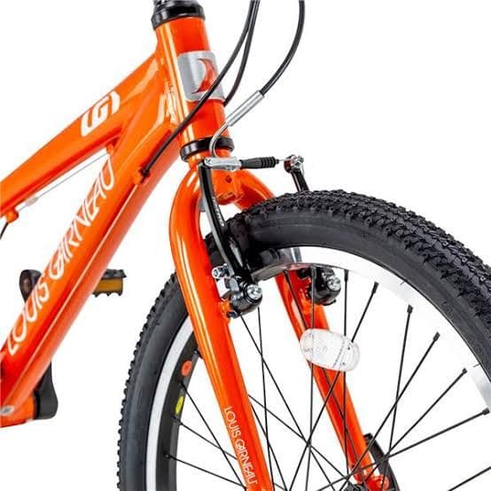 2024年購入　ルイガノの自転車　20インチ　オレンジ　美品！