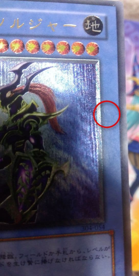 遊戯王　青眼の究極竜、カオス•ソルジャーレリーフ2枚セット