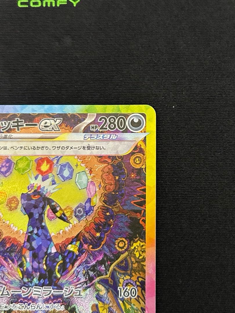 ブラッキーEX SAR テラスタルフェス