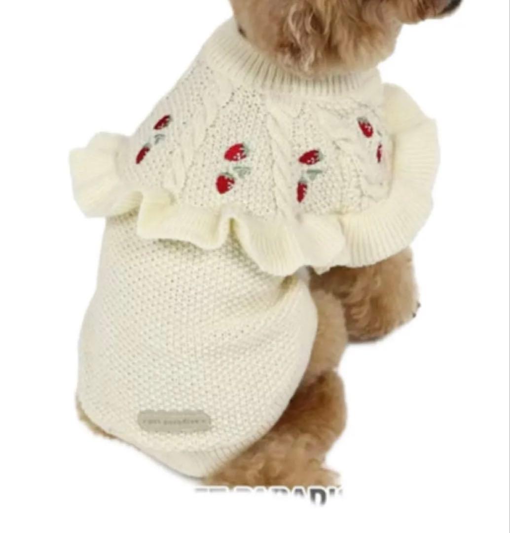 ペットパラダイス　苺フリルニット　くま　　もこもこニット　★新品未使用★