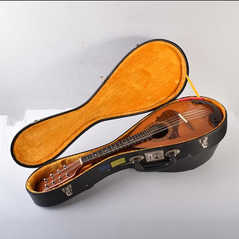 Rio　スズキ　マンドリン　鼈甲製ピック・ハードケース付　V　R7789C