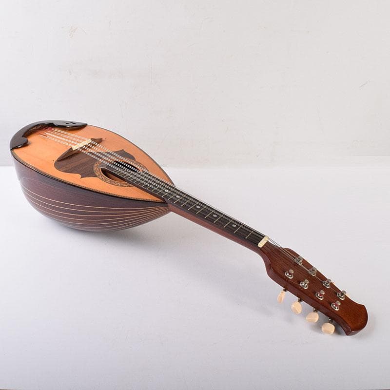 Rio　スズキ　マンドリン　鼈甲製ピック・ハードケース付　V　R7789C